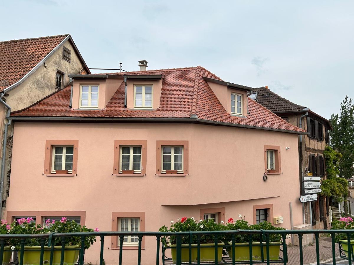 Gite Ma Maison Kintzheim Exteriér fotografie
